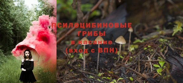 твердый Армянск
