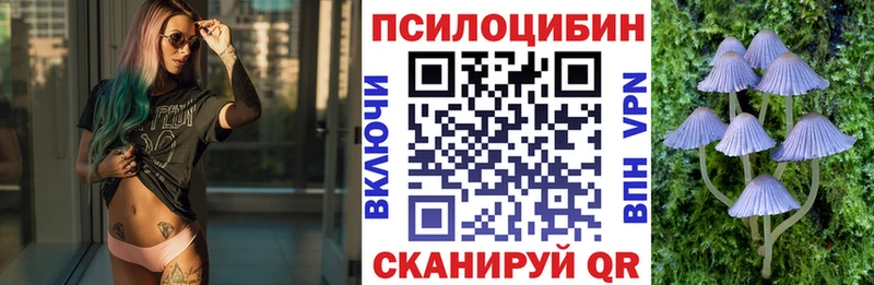 Псилоцибиновые грибы GOLDEN TEACHER  mega   Катав-Ивановск 